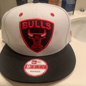 Chicago bulls